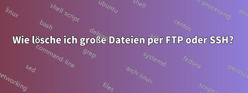 Wie lösche ich große Dateien per FTP oder SSH?