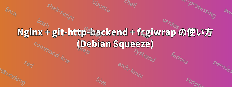 Nginx + git-http-backend + fcgiwrap の使い方 (Debian Squeeze)