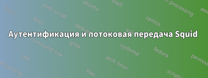 Аутентификация и потоковая передача Squid