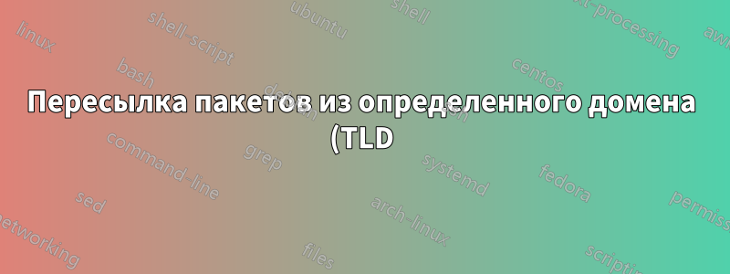 Пересылка пакетов из определенного домена (TLD) на определенную машину в сети с помощью iptables