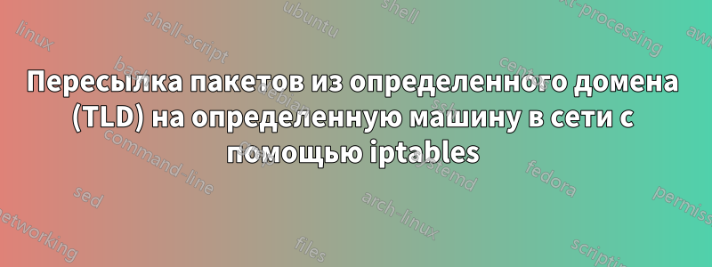 Пересылка пакетов из определенного домена (TLD) на определенную машину в сети с помощью iptables