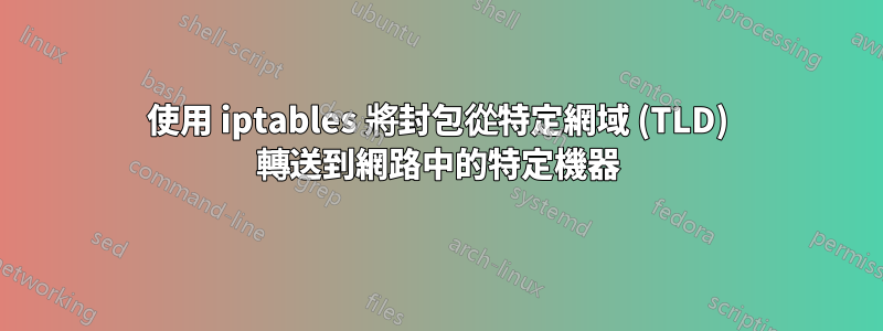 使用 iptables 將封包從特定網域 (TLD) 轉送到網路中的特定機器