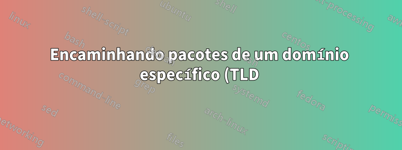 Encaminhando pacotes de um domínio específico (TLD) para uma determinada máquina na rede usando iptables