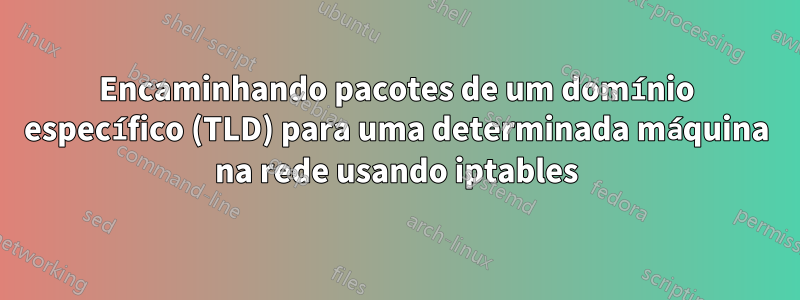 Encaminhando pacotes de um domínio específico (TLD) para uma determinada máquina na rede usando iptables