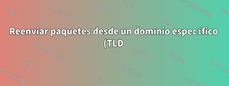 Reenviar paquetes desde un dominio específico (TLD) a una determinada máquina en la red usando iptables