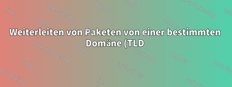 Weiterleiten von Paketen von einer bestimmten Domäne (TLD) an einen bestimmten Computer im Netzwerk mithilfe von iptables