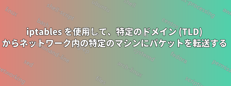 iptables を使用して、特定のドメイン (TLD) からネットワーク内の特定のマシンにパケットを転送する