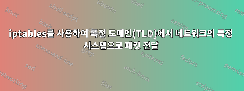 iptables를 사용하여 특정 도메인(TLD)에서 네트워크의 특정 시스템으로 패킷 전달