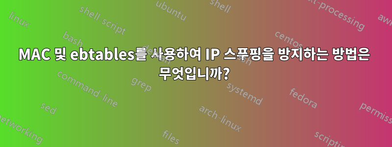 MAC 및 ebtables를 사용하여 IP 스푸핑을 방지하는 방법은 무엇입니까?