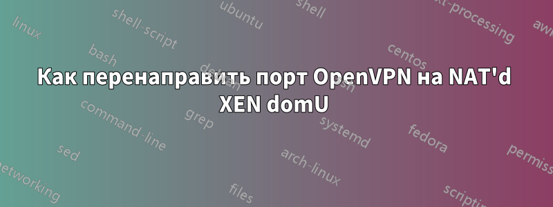 Как перенаправить порт OpenVPN на NAT'd XEN domU