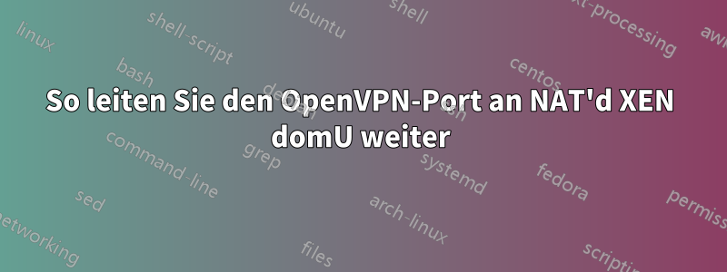 So leiten Sie den OpenVPN-Port an NAT'd XEN domU weiter