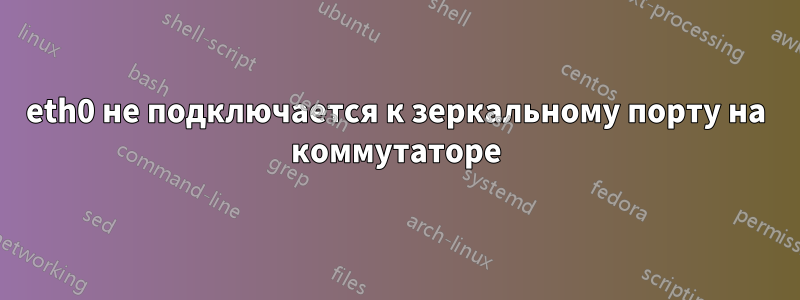 eth0 не подключается к зеркальному порту на коммутаторе