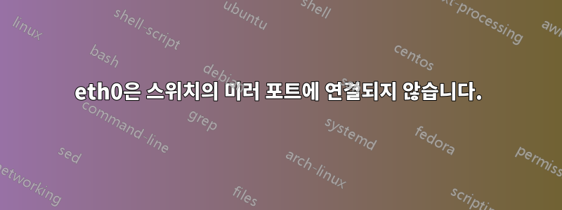 eth0은 스위치의 미러 포트에 연결되지 않습니다.