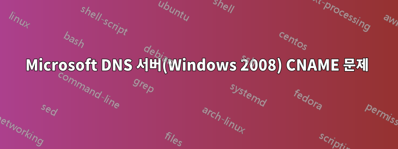 Microsoft DNS 서버(Windows 2008) CNAME 문제