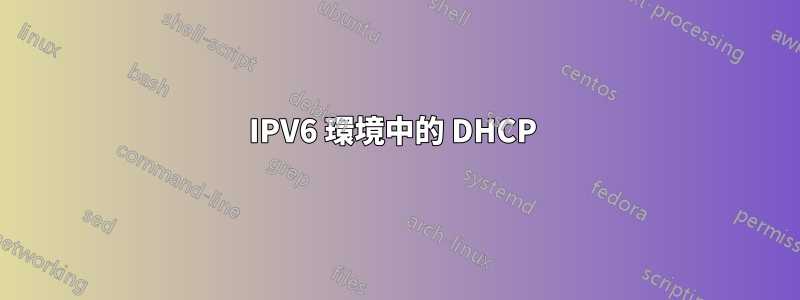 IPV6 環境中的 DHCP 