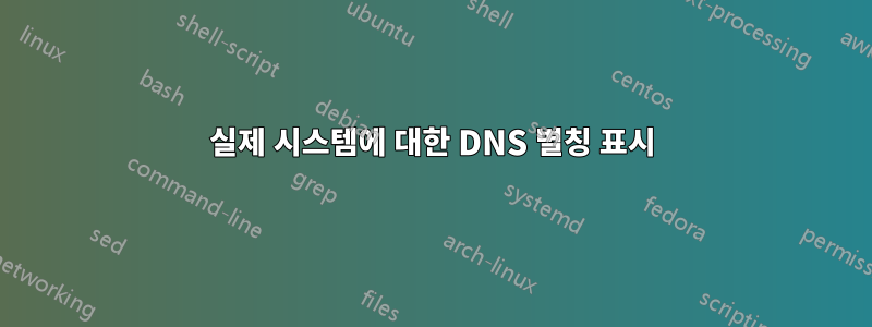 실제 시스템에 대한 DNS 별칭 표시