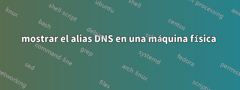 mostrar el alias DNS en una máquina física