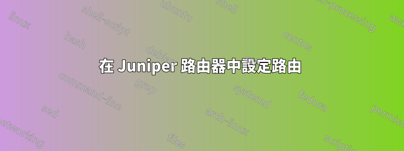 在 Juniper 路由器中設定路由