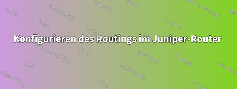 Konfigurieren des Routings im Juniper-Router