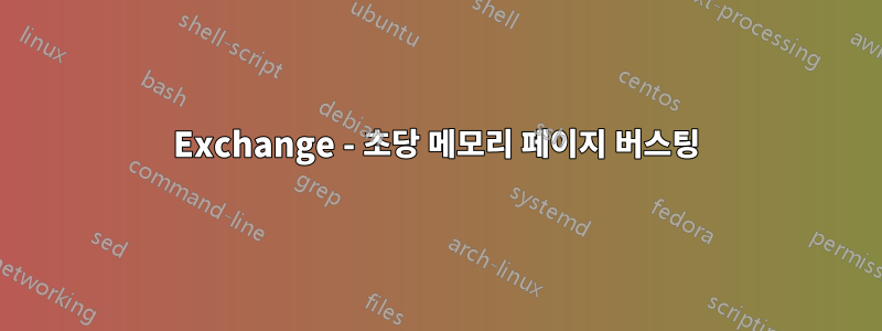 Exchange - 초당 메모리 페이지 버스팅