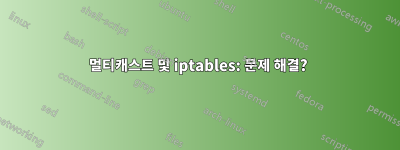 멀티캐스트 및 iptables: 문제 해결?