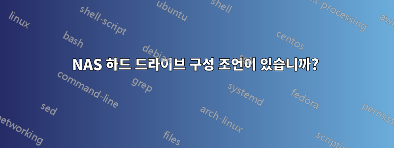 NAS 하드 드라이브 구성 조언이 있습니까?