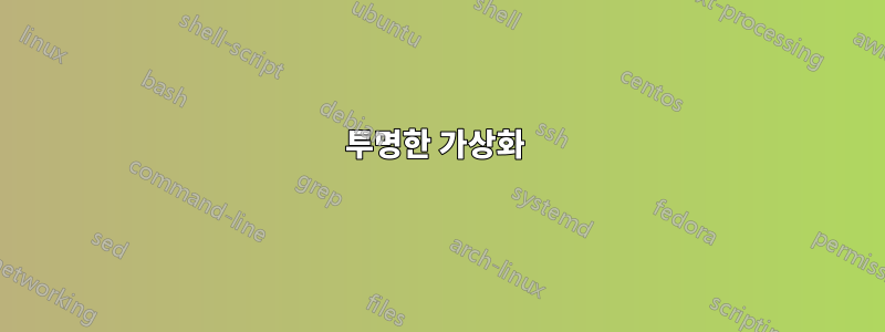 투명한 가상화 