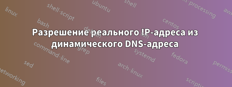 Разрешение реального IP-адреса из динамического DNS-адреса