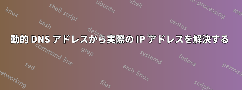 動的 DNS アドレスから実際の IP アドレスを解決する