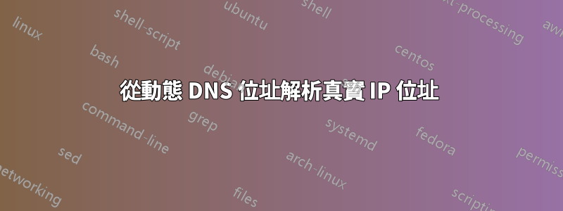 從動態 DNS 位址解析真實 IP 位址