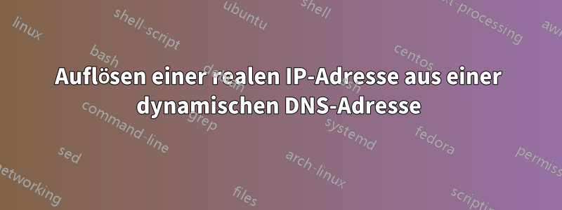 Auflösen einer realen IP-Adresse aus einer dynamischen DNS-Adresse