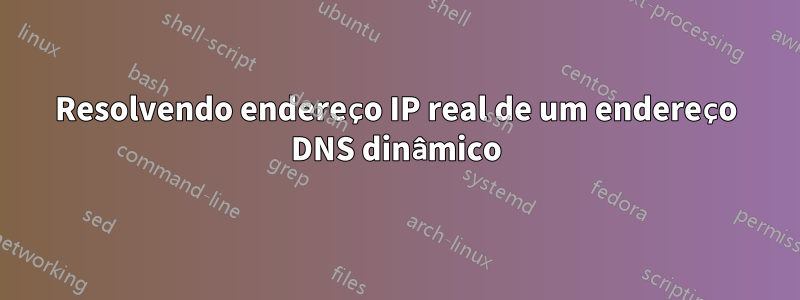 Resolvendo endereço IP real de um endereço DNS dinâmico