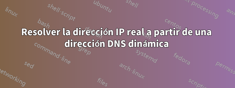 Resolver la dirección IP real a partir de una dirección DNS dinámica