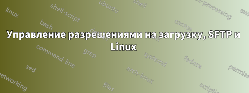 Управление разрешениями на загрузку, SFTP и Linux