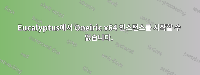 Eucalyptus에서 Oneiric x64 인스턴스를 시작할 수 없습니다.