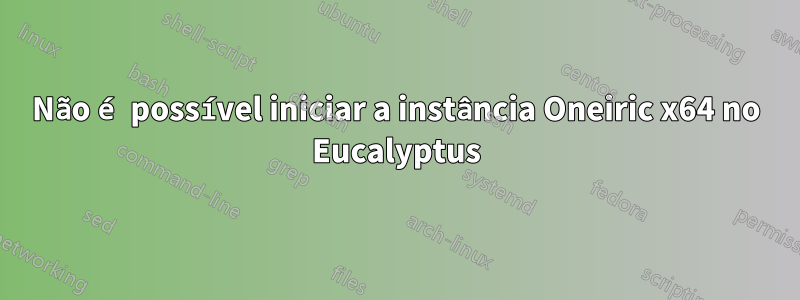 Não é possível iniciar a instância Oneiric x64 no Eucalyptus