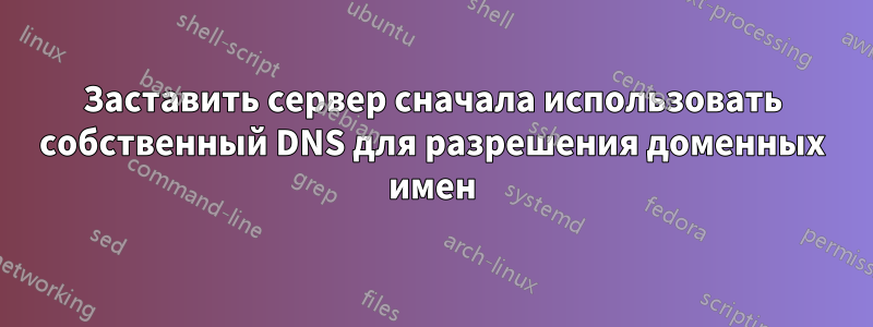 Заставить сервер сначала использовать собственный DNS для разрешения доменных имен
