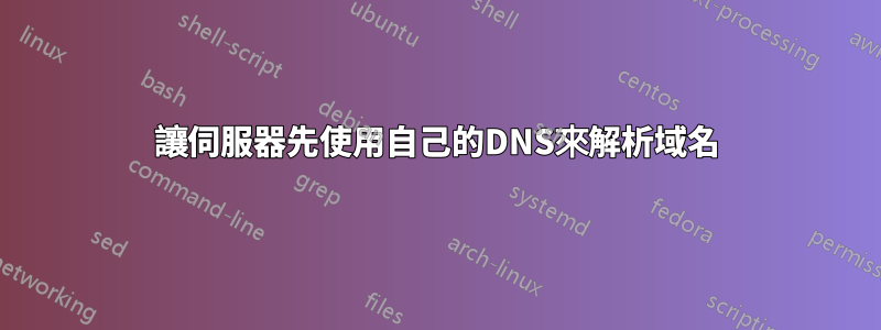讓伺服器先使用自己的DNS來解析域名