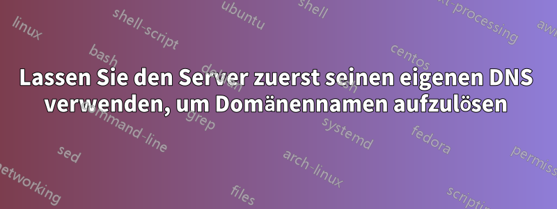 Lassen Sie den Server zuerst seinen eigenen DNS verwenden, um Domänennamen aufzulösen