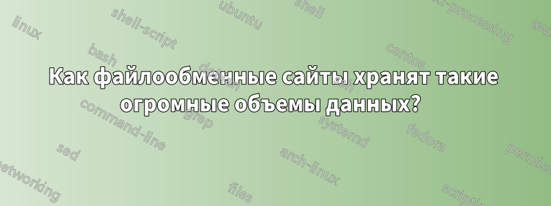 Как файлообменные сайты хранят такие огромные объемы данных? 