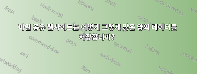 파일 공유 웹사이트는 어떻게 그렇게 많은 양의 데이터를 저장합니까? 