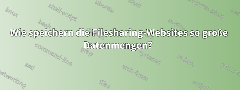 Wie speichern die Filesharing-Websites so große Datenmengen? 