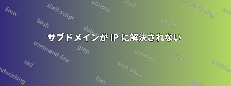 サブドメインが IP に解決されない