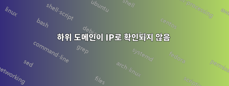 하위 도메인이 IP로 확인되지 않음