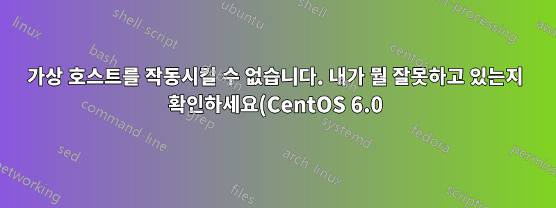 가상 호스트를 작동시킬 수 없습니다. 내가 뭘 잘못하고 있는지 확인하세요(CentOS 6.0).