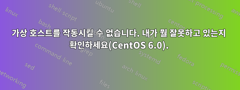 가상 호스트를 작동시킬 수 없습니다. 내가 뭘 잘못하고 있는지 확인하세요(CentOS 6.0).