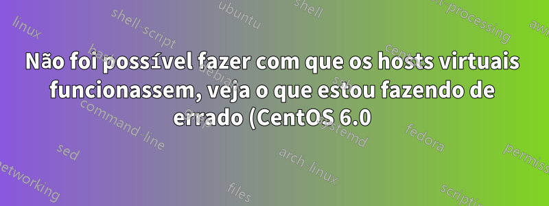 Não foi possível fazer com que os hosts virtuais funcionassem, veja o que estou fazendo de errado (CentOS 6.0)