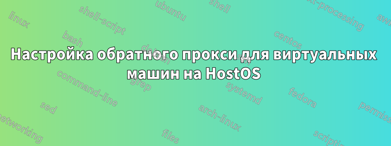 Настройка обратного прокси для виртуальных машин на HostOS