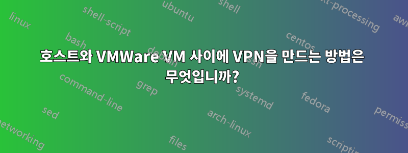 호스트와 VMWare VM 사이에 VPN을 만드는 방법은 무엇입니까?