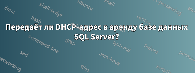 Передаёт ли DHCP-адрес в аренду базе данных SQL Server?